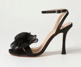 Daphne -  Black