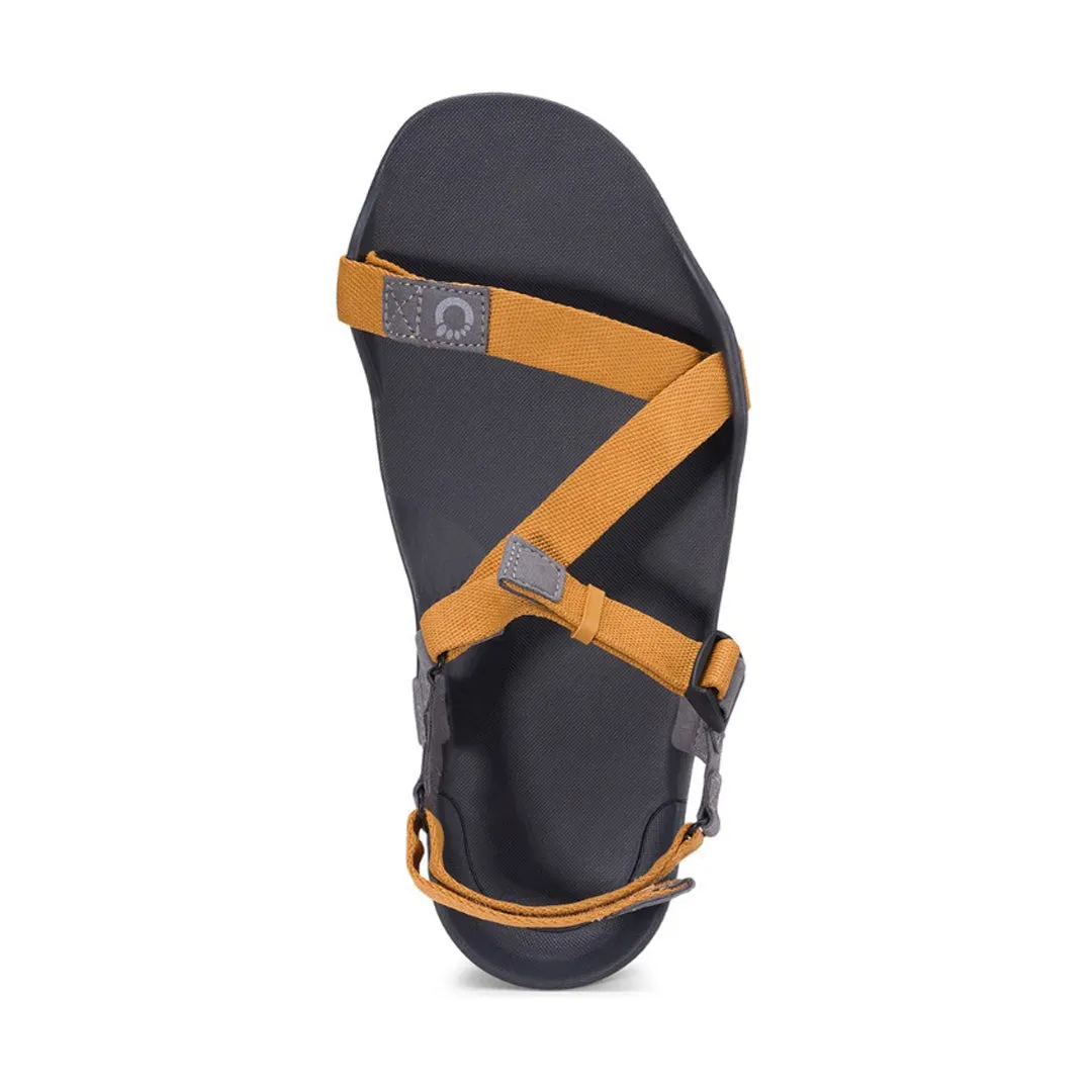 Xero Sandals - Z-Trek - Nugget - Men's